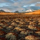 Rondane Nationalpark 1 zu 3