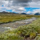 Rondane-Nationalpark, Ende Juli 2020