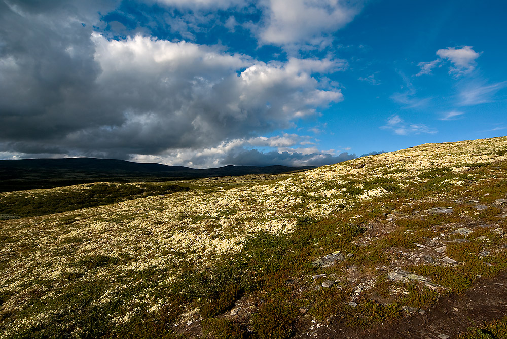 Rondane Nationalpark / Norwegen