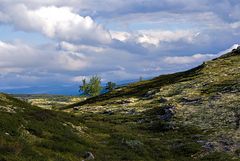 Rondane Nationalpark / Norwegen (2)