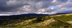 Rondane Nationalpark / Norwegen (4)