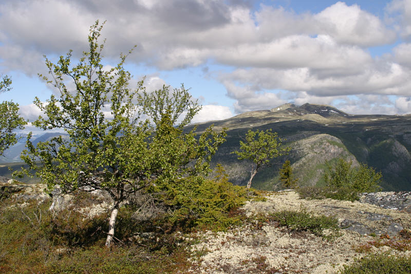 Rondane Nationalpark Norwegen