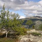 Rondane Nationalpark Norwegen