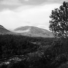 Rondane Nationalpark Norwegen