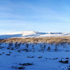 Rondane, Norwegen