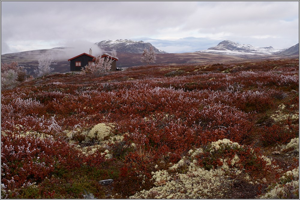 Rondane V