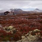 Rondane V