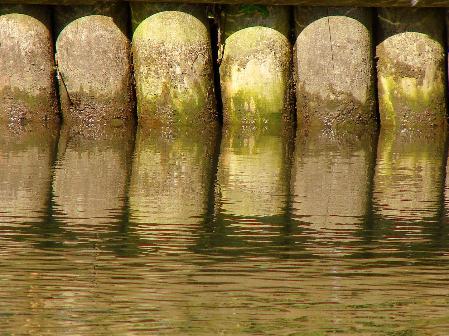 RONDIN TORDU OU REFLET ????