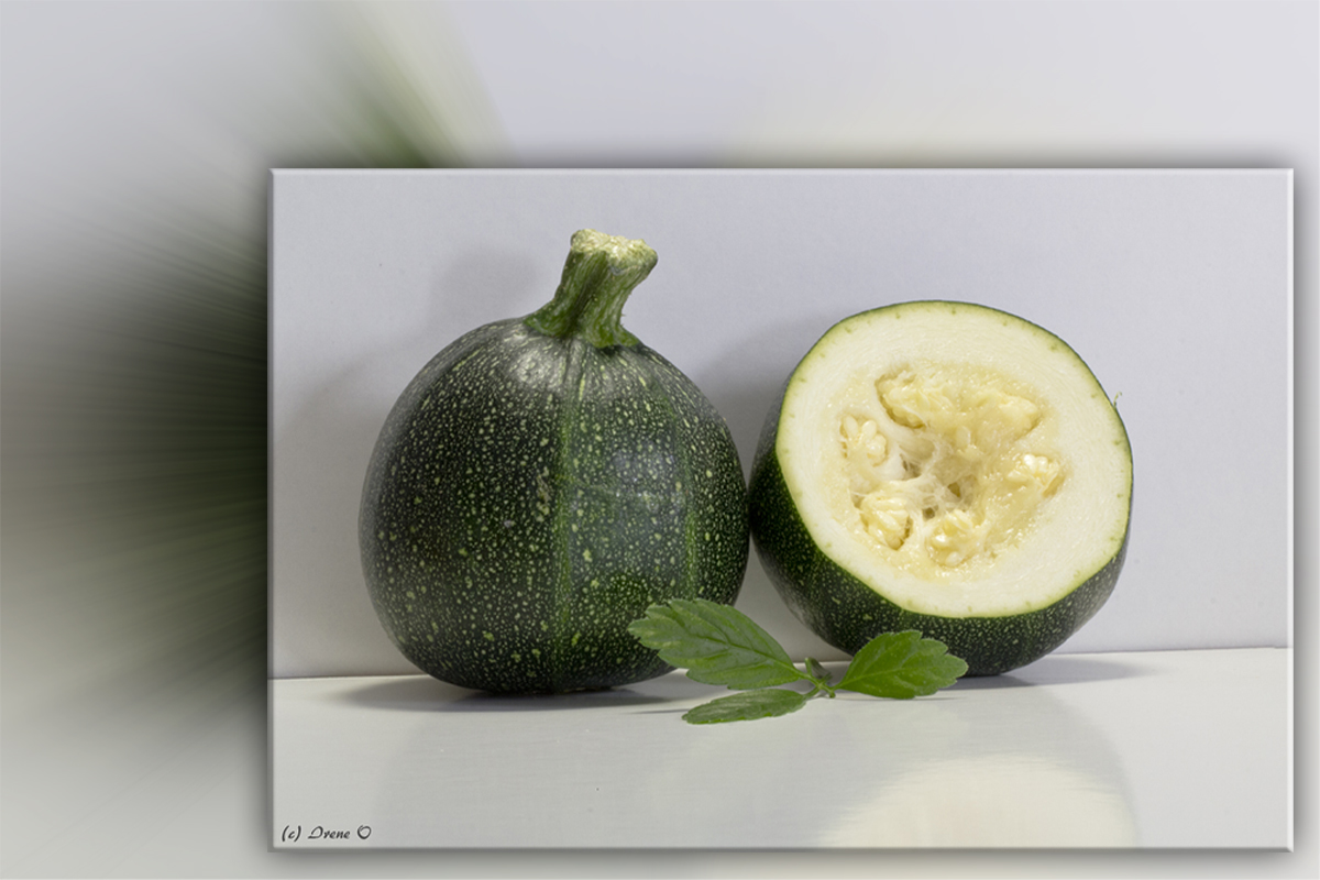 Rondini oder runde Zucchini