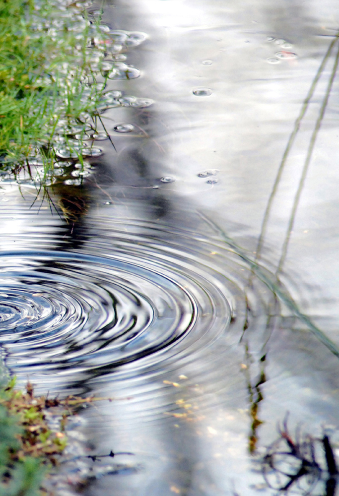 Ronds dans l'eau