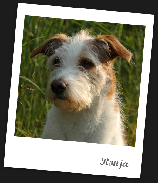 ronja