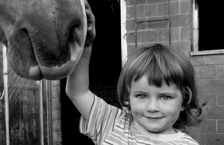 ronja and my haflinger