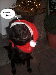 Ronja, der Weihnachtself