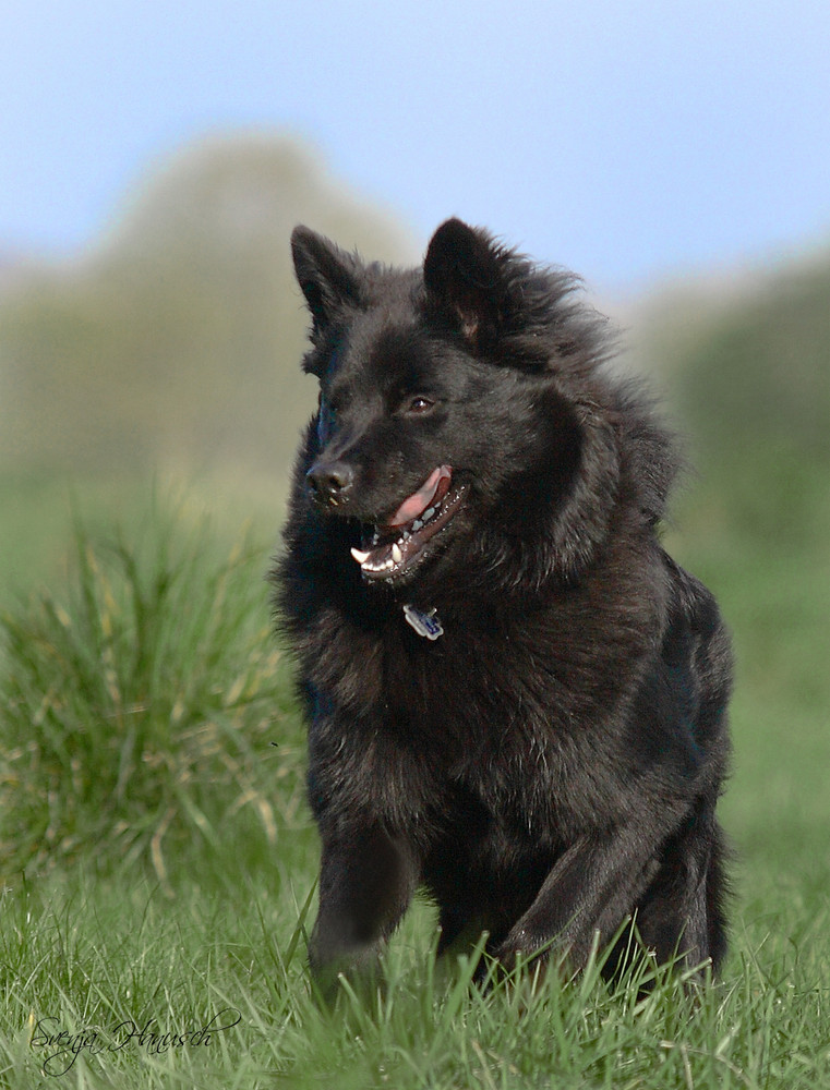 Ronja genießt den Frühling