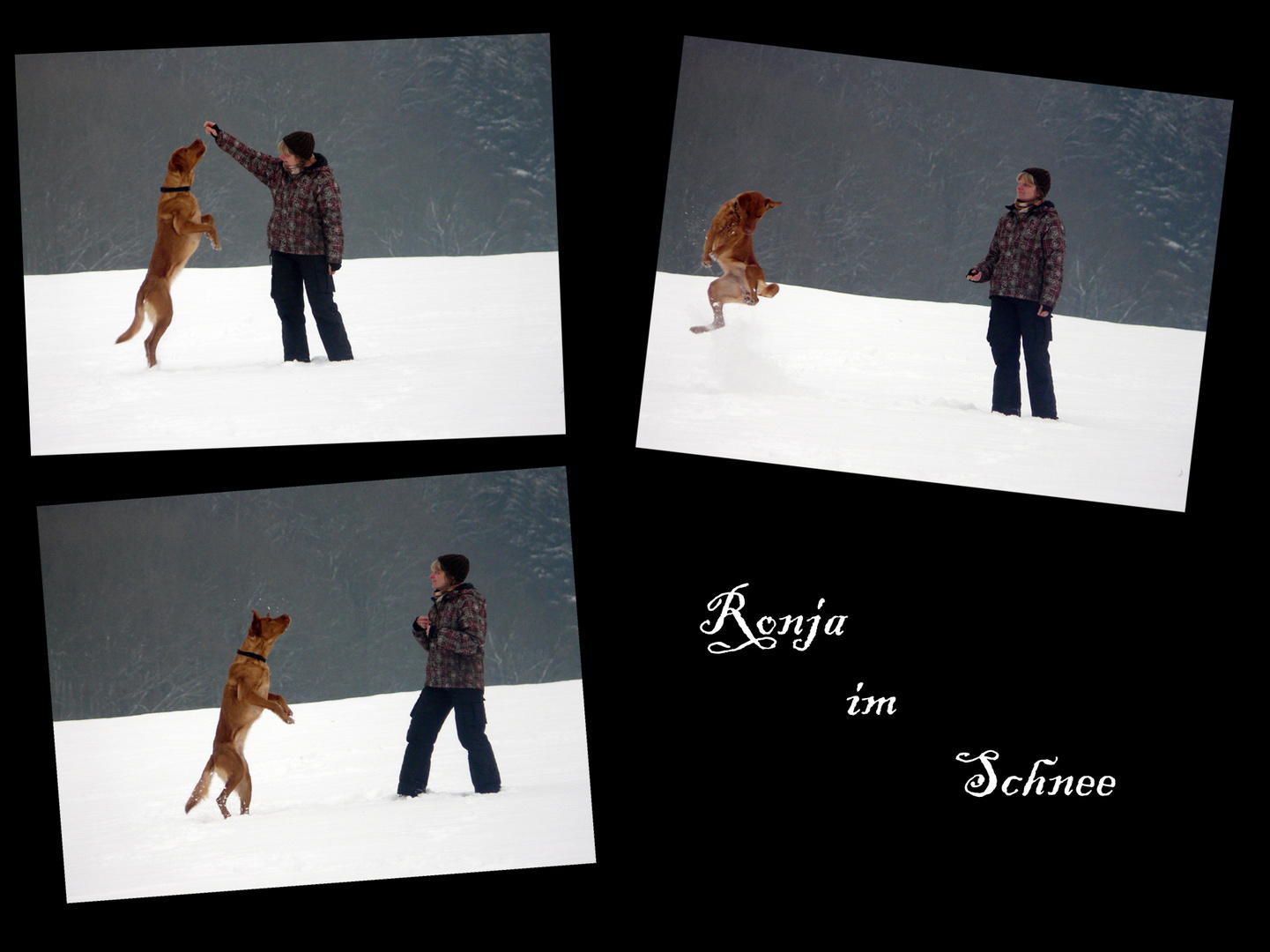 Ronja im Schnee