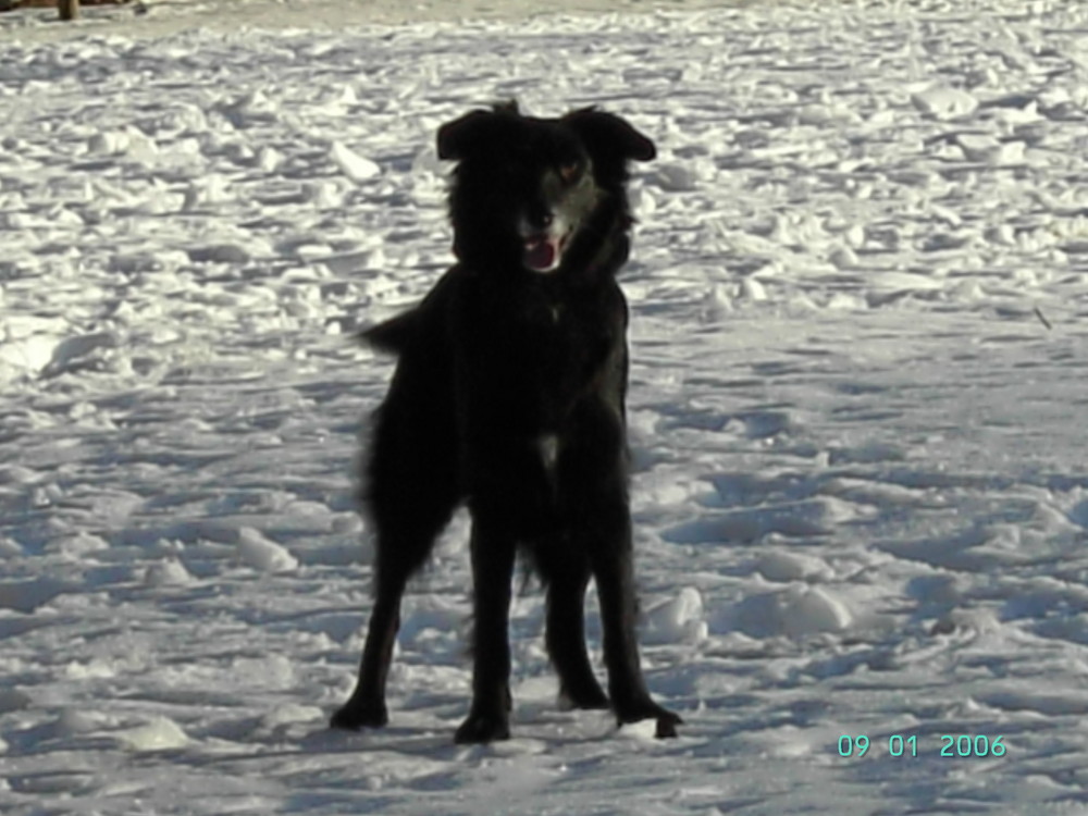 Ronja im Winterurlaub