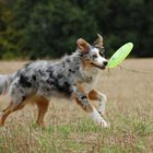 Ronja mit Frisbee