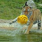 Ronja spielt Wasserball