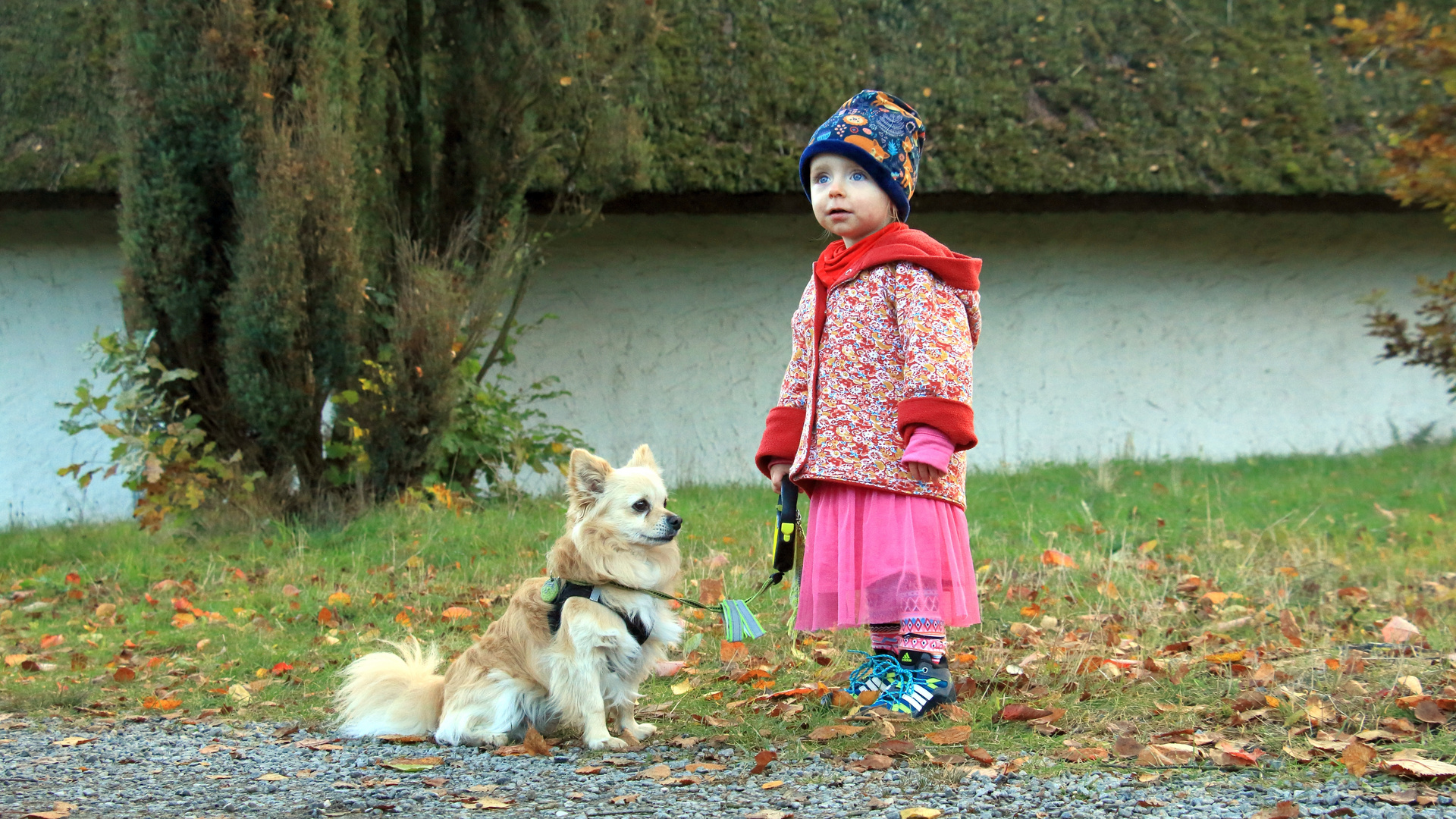 Ronja und das Märchen vom bösen Wolf