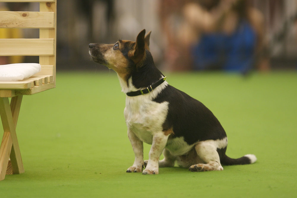 Ronja wartet auf den Start