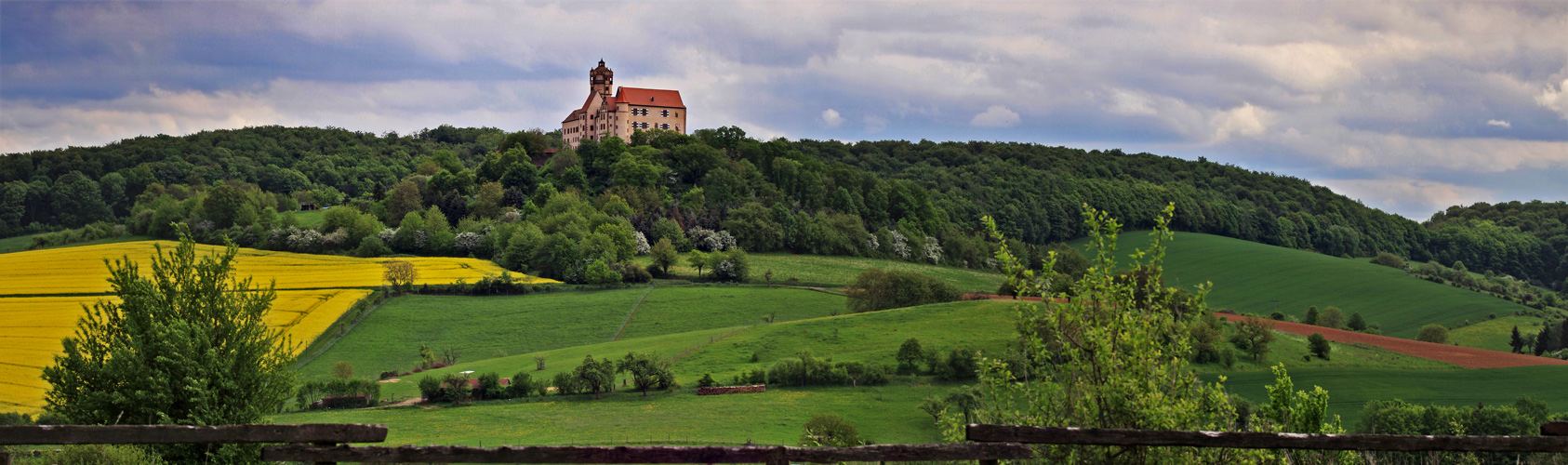 Ronneburg im Rapsfieber (5)