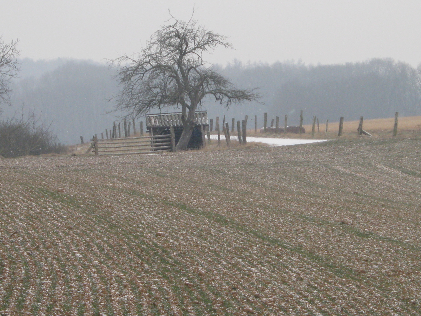 Ronneburger Hügelland 09.02.2012