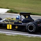 Ronnie Peterson (John Player Lotus Ford )