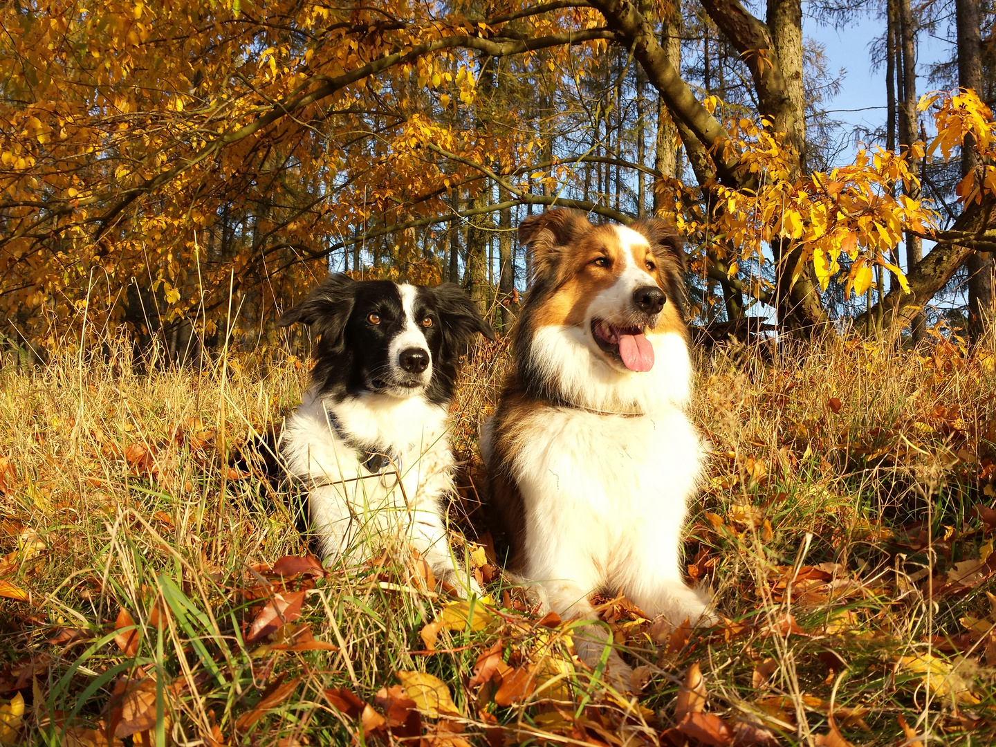 Ronny & Arno - friends forever