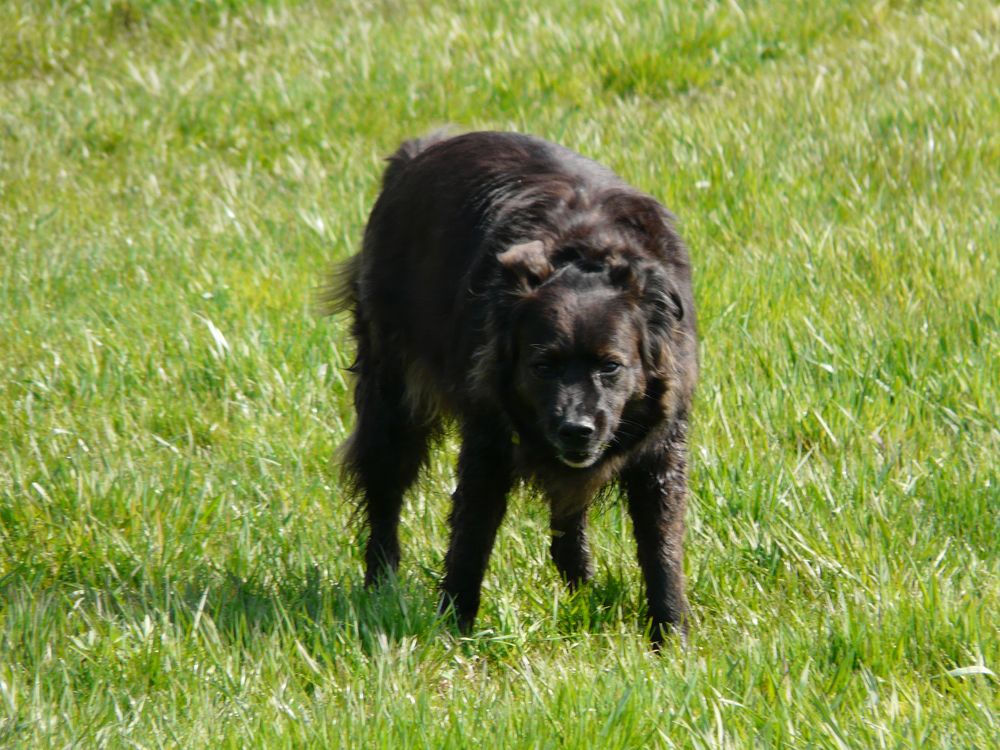 Ronny - Ist sie zu stark, bist du zu schwach P1250985