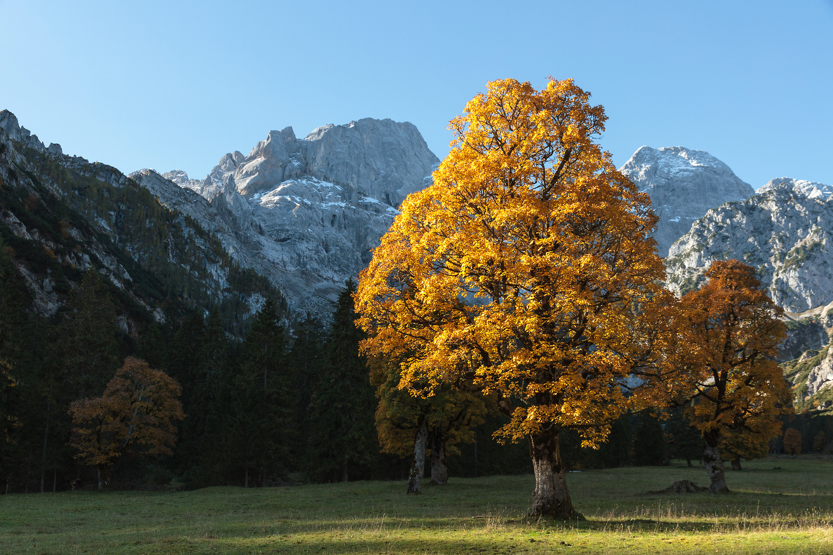 Rontal 1 Foto & Bild herbst, ahorn, karwendel Bilder auf