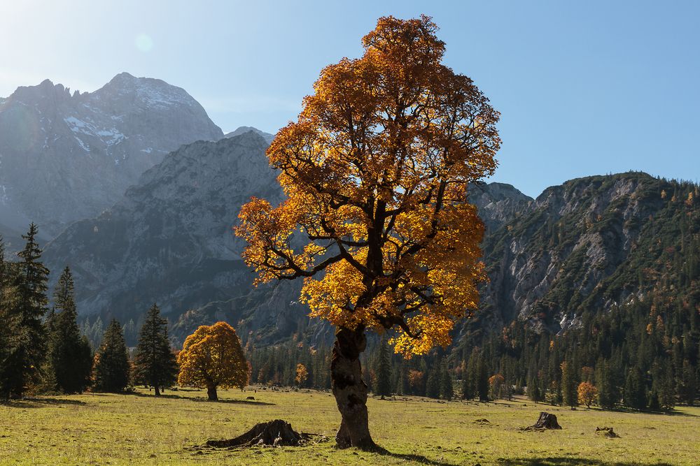Rontal 3 Foto & Bild europe, Österreich, jahreszeiten Bilder auf