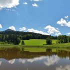 Rontscher Weiher