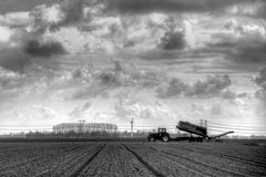 Roodeschool - Field at Tilweg - 1