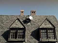 Roof !