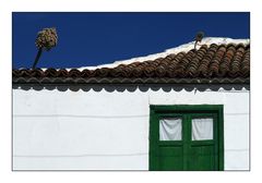 Roof Garden