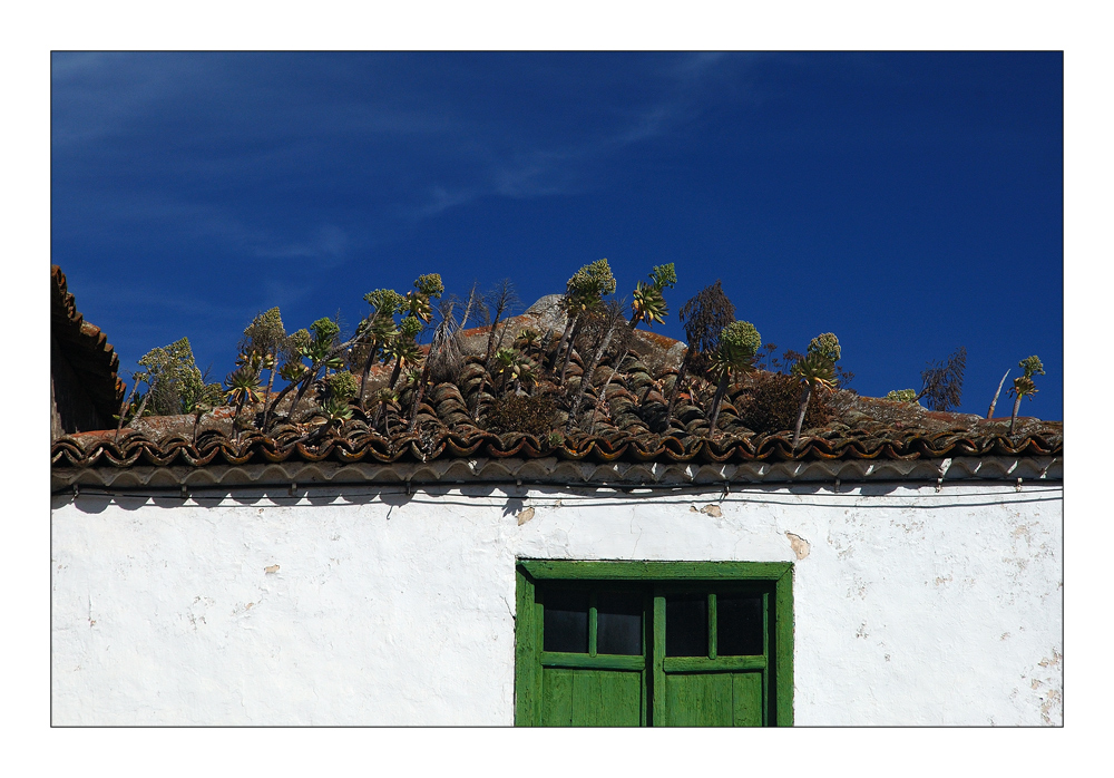 Roof Garden - Dachgarten