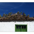 Roof Garden - Dachgarten