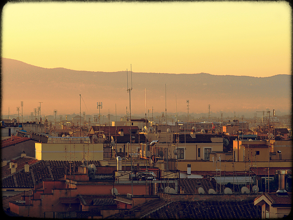 roof landscape