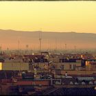 roof landscape