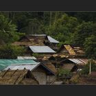 Roof-landscape in the jungle