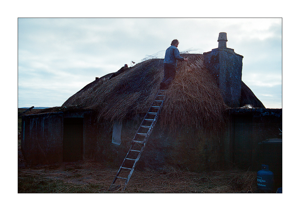 Roof Repair