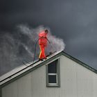 Roof Steamer