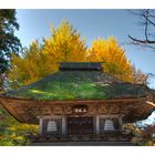 Roof & tree