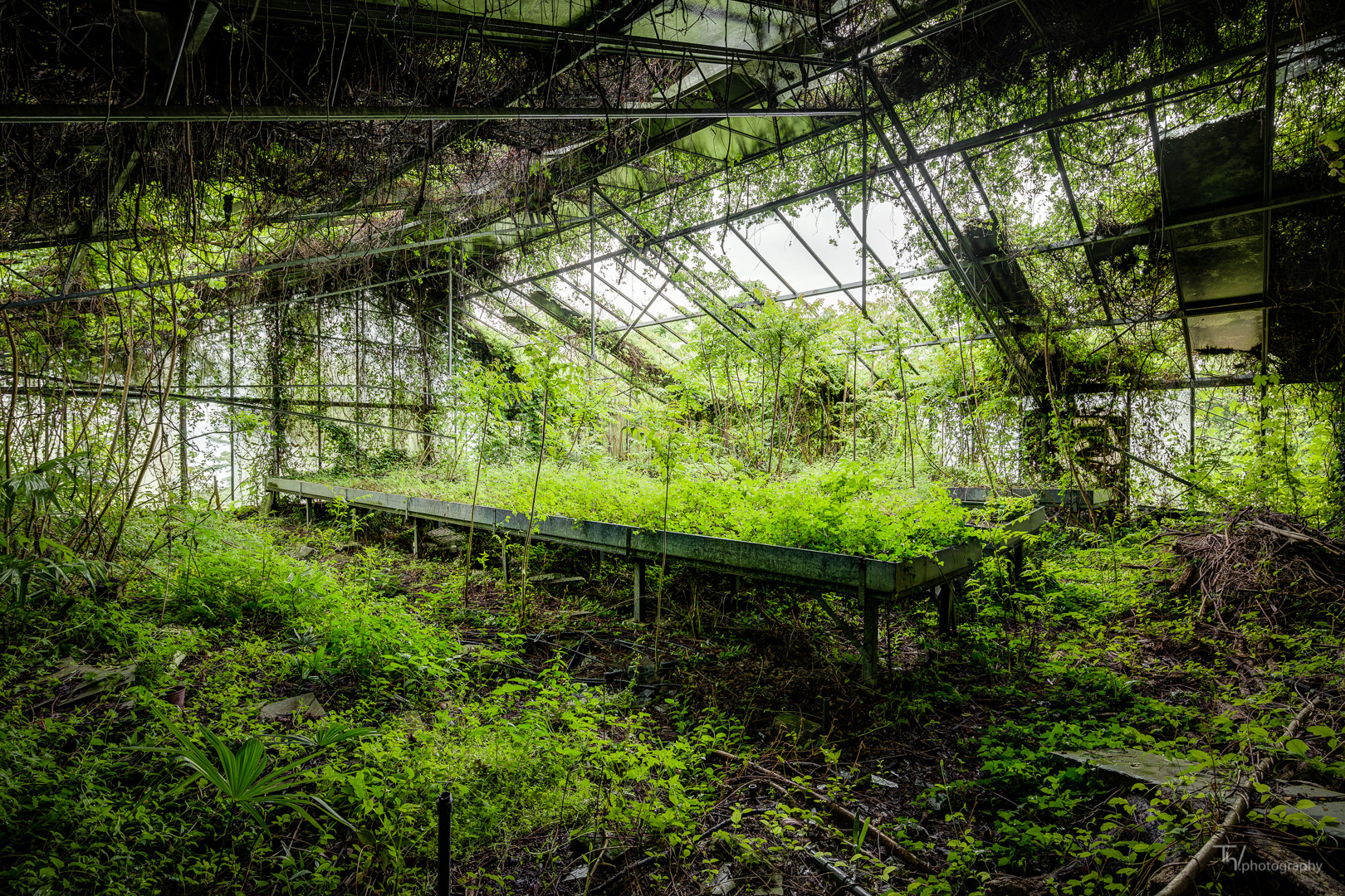 ~ roofing roots ~