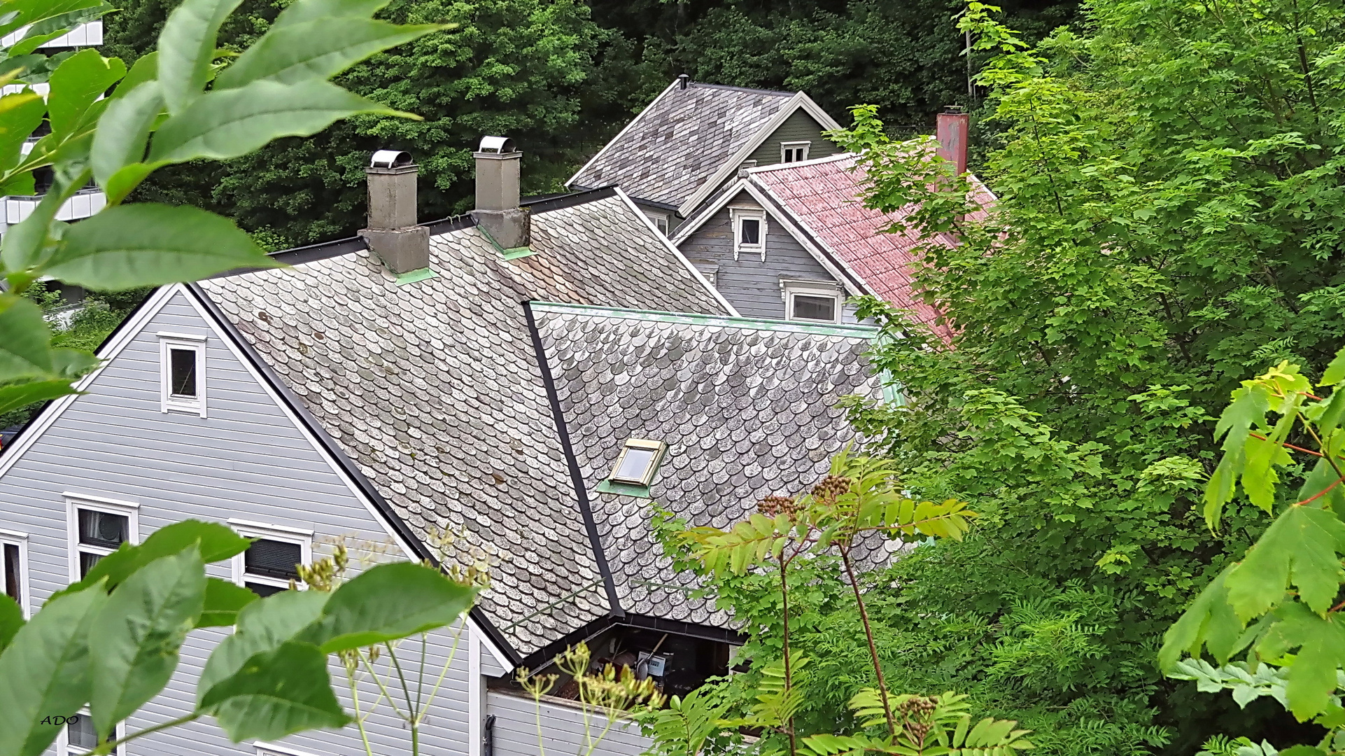 Roofs in Alesund