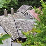 Roofs in Alesund