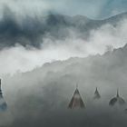 roofs in the fog