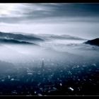 "Roofs of Freiburg"