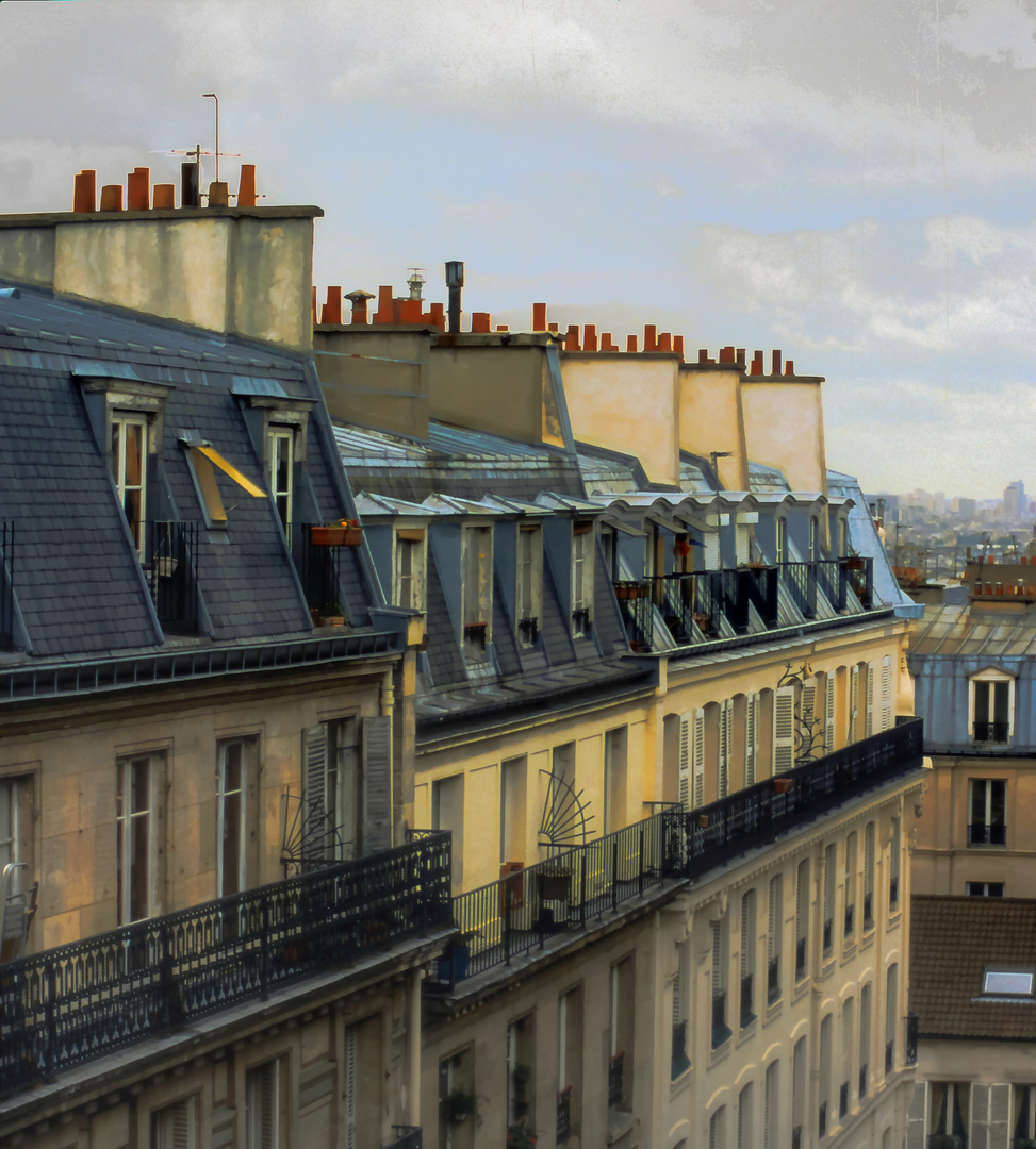 [ roofs of paris ]