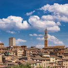 Roofs of Siena